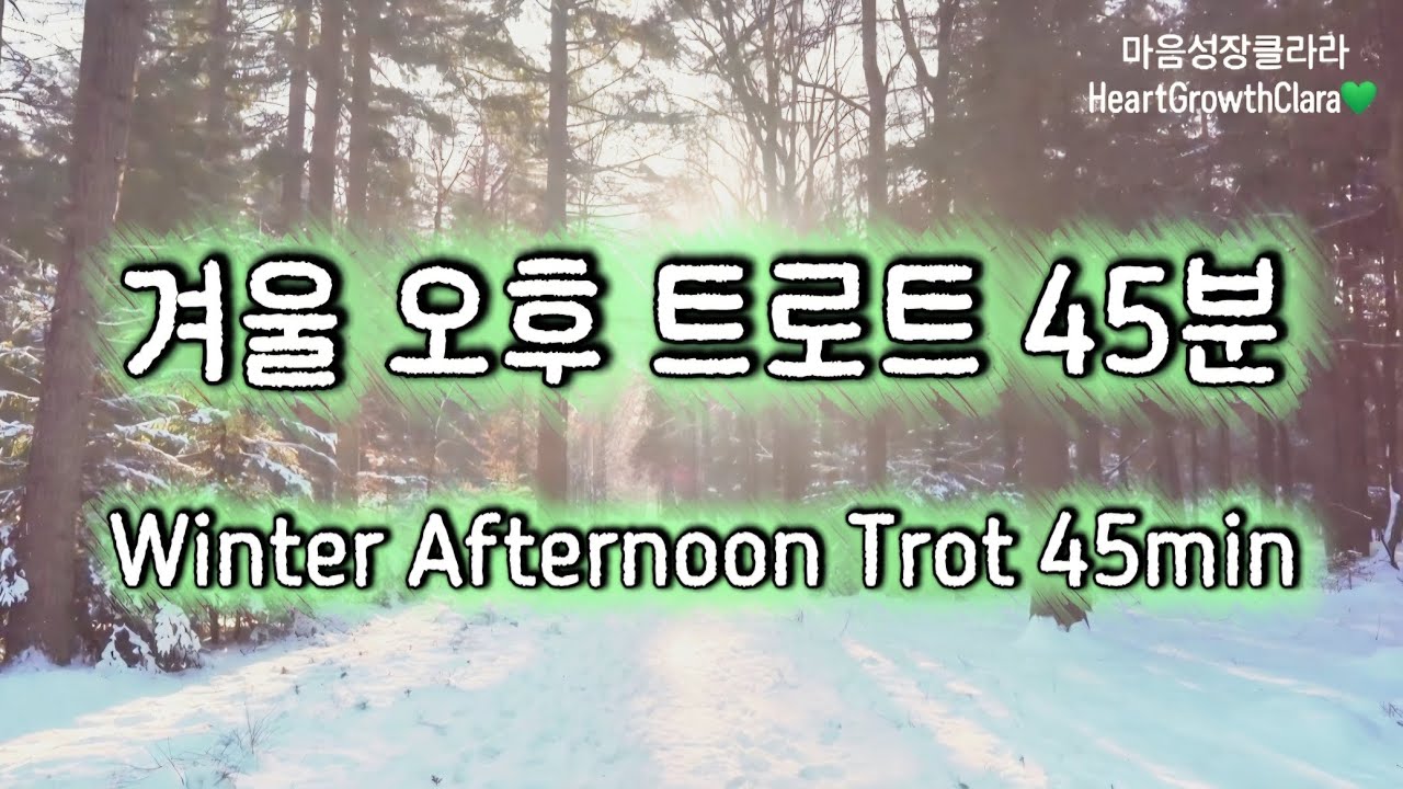 일상에 잠시 스며드는 오후 트로트 힐링 45분💚 | Soft Trot Music for a Peaceful Afternoon 45min💚