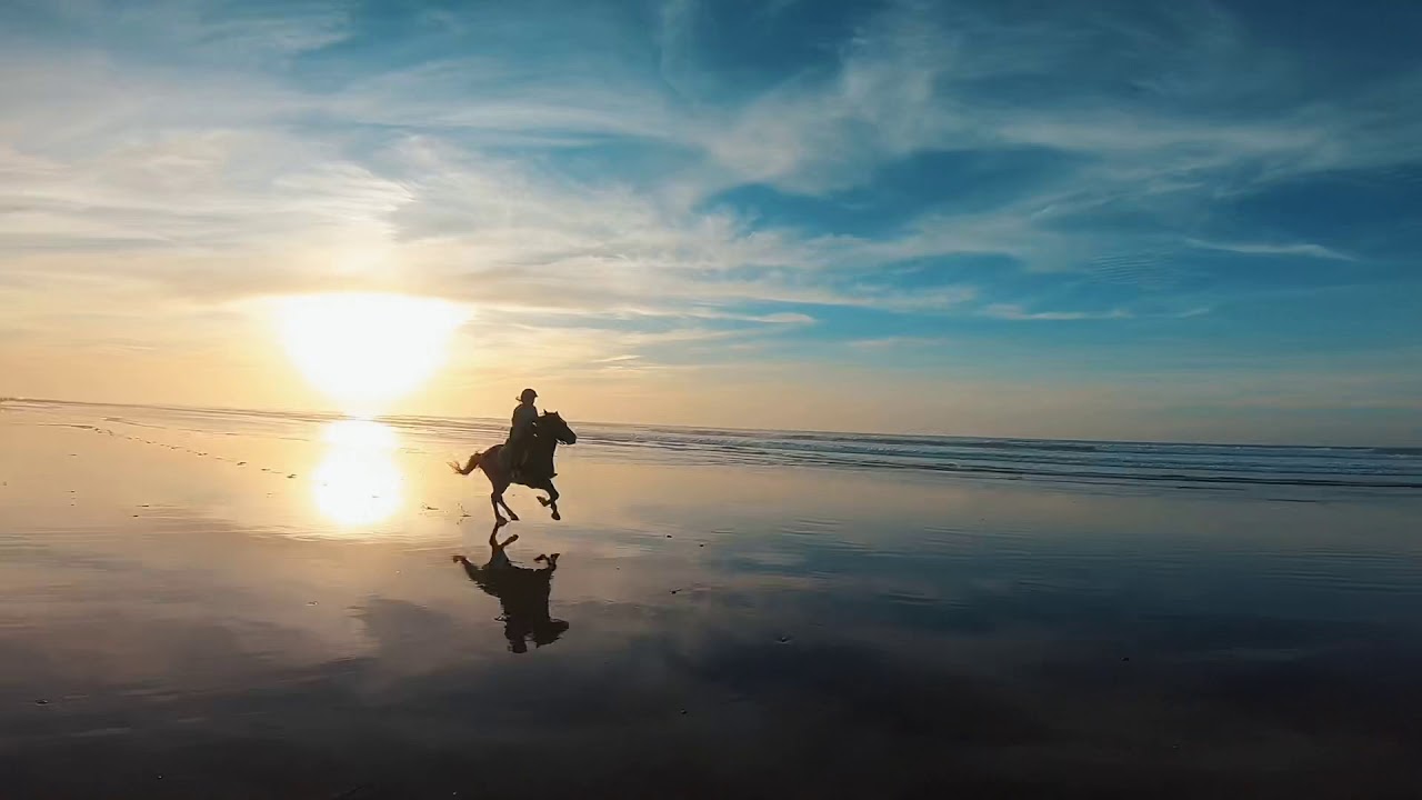 Ultimate best Compilation N1 amazing horses galloping during sunset مقطع للخيول : الحلم المغربي