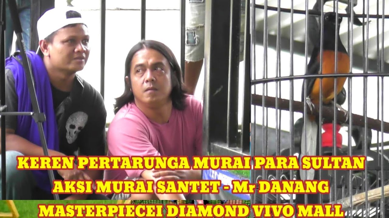 Keren Aksi Murai SANTET - Mr DANANG // MASTERPIECEI DIAMOND VOVO MALL BOGOR. 8/3/26