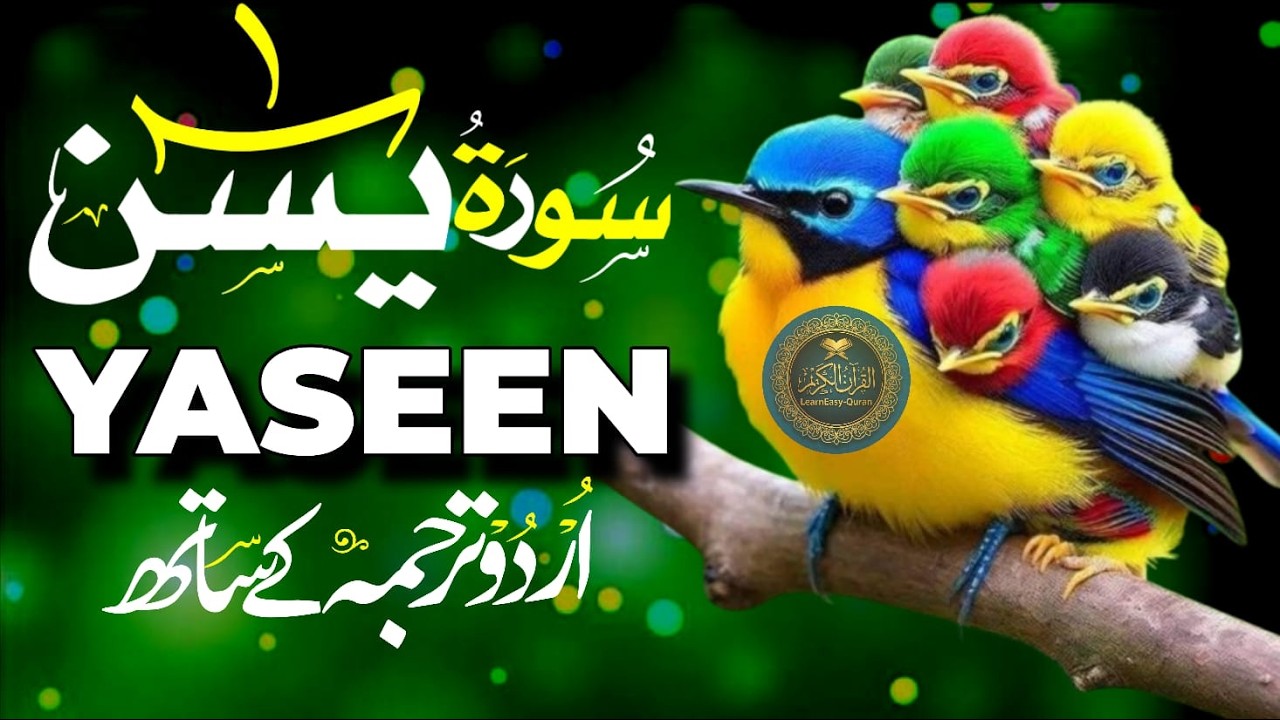 Surah Yaseen (Yasin) سورة يس | heart touching voice | Learn easy Quran | EP:04