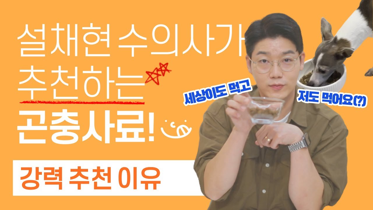 설쌤네 세상이도🐶 먹고있는 '곤충사료' ! 찐찐찐~찐으로 강력 추천하는 이유는? l 설채현 수의사