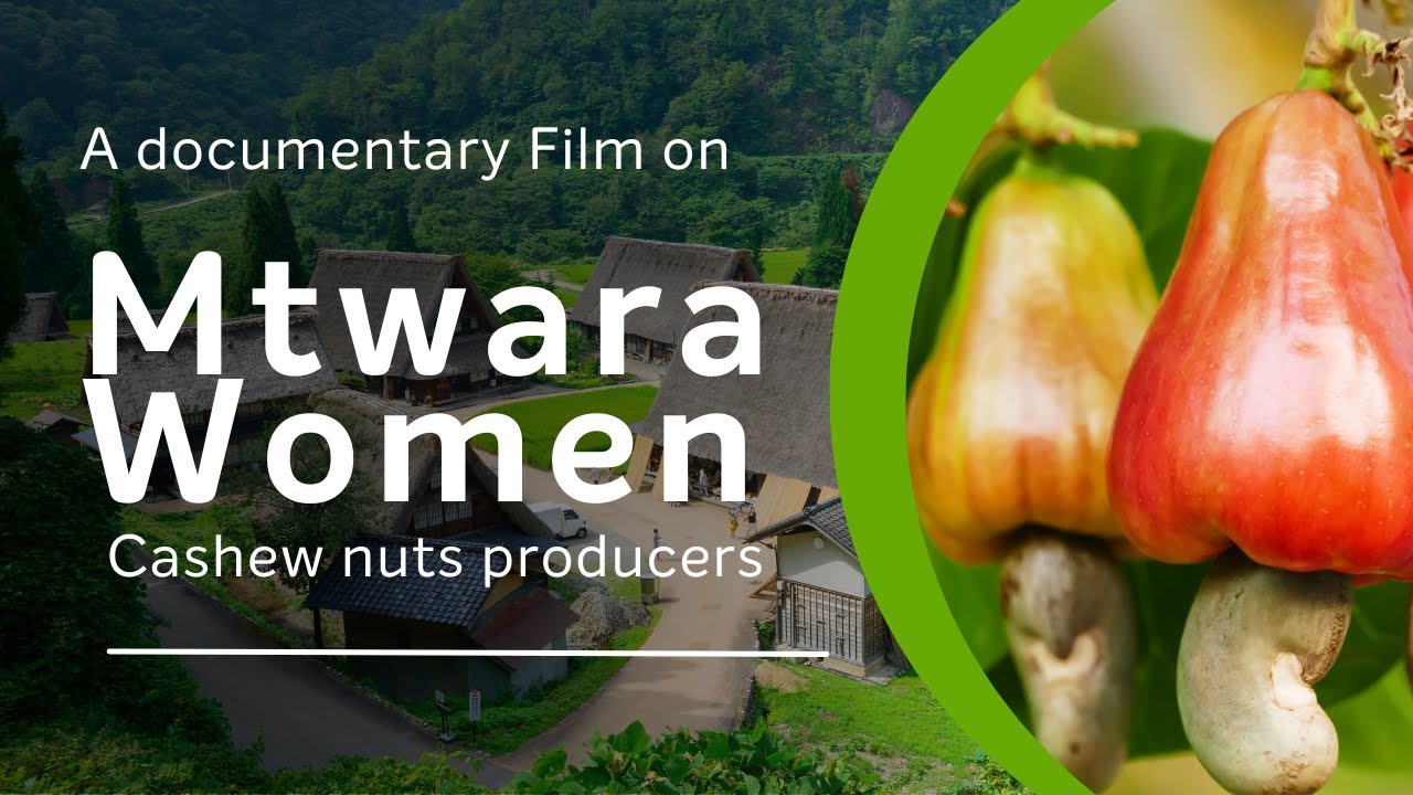 A documentary highlighting the women cashew producers in Mtwara #Womeninagriculture