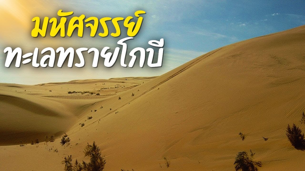 มหัศจรรย์ทะเลทรายโกบี