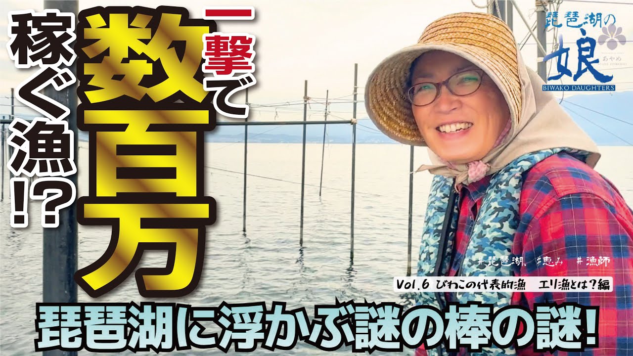 【 朝に荒稼ぎ 】琵琶湖の究極の漁法を解説！#漁師 #琵琶湖 #滋賀県 滋賀県