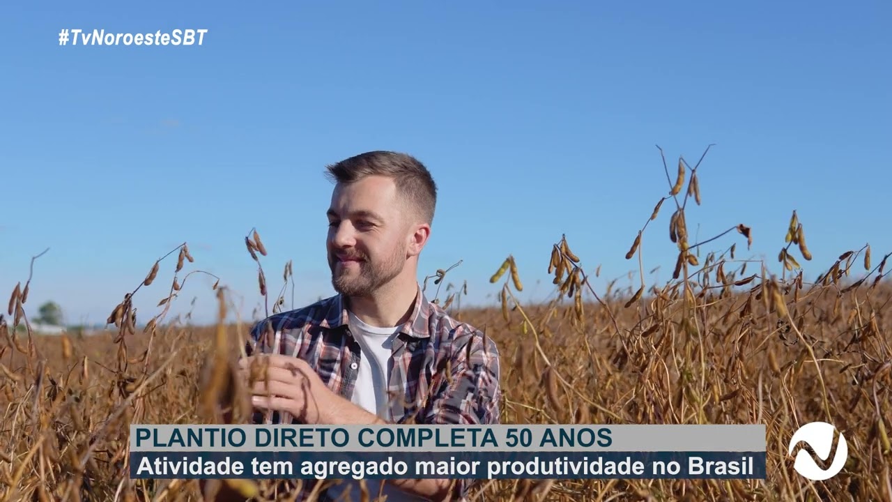 Plantio Direto completa 50 anos