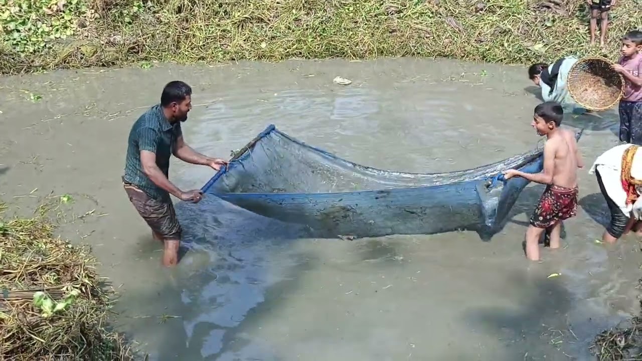 মাছ ধরার ভিডিও দেখবেন আপনারা। #comedyfilms #funny #ধাঁধাpoint 