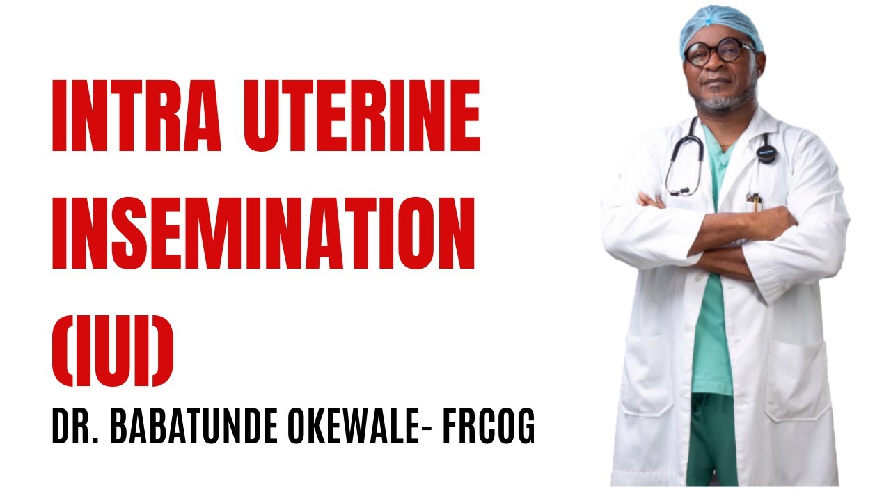Intra Uterine Insemination (IUI)
