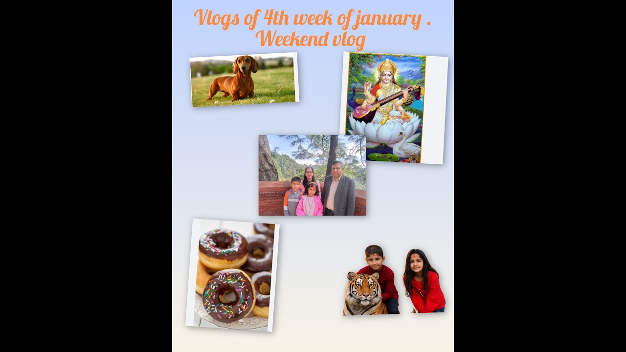Vlog of 4th week of january . Weekend vlog of january .