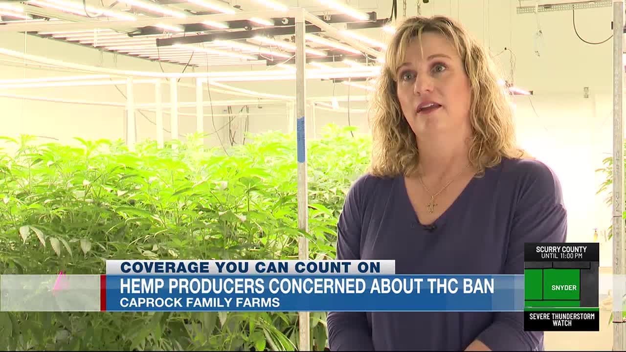 Hemp producers concerned about THC ban, how it could affect business