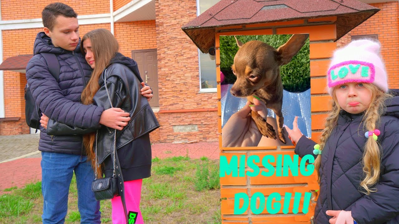 Diana's dog is missing! A sad story about a little dog!