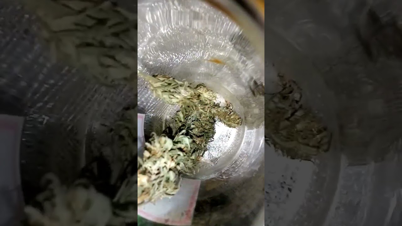Um Camar&atilde;o conservado👏