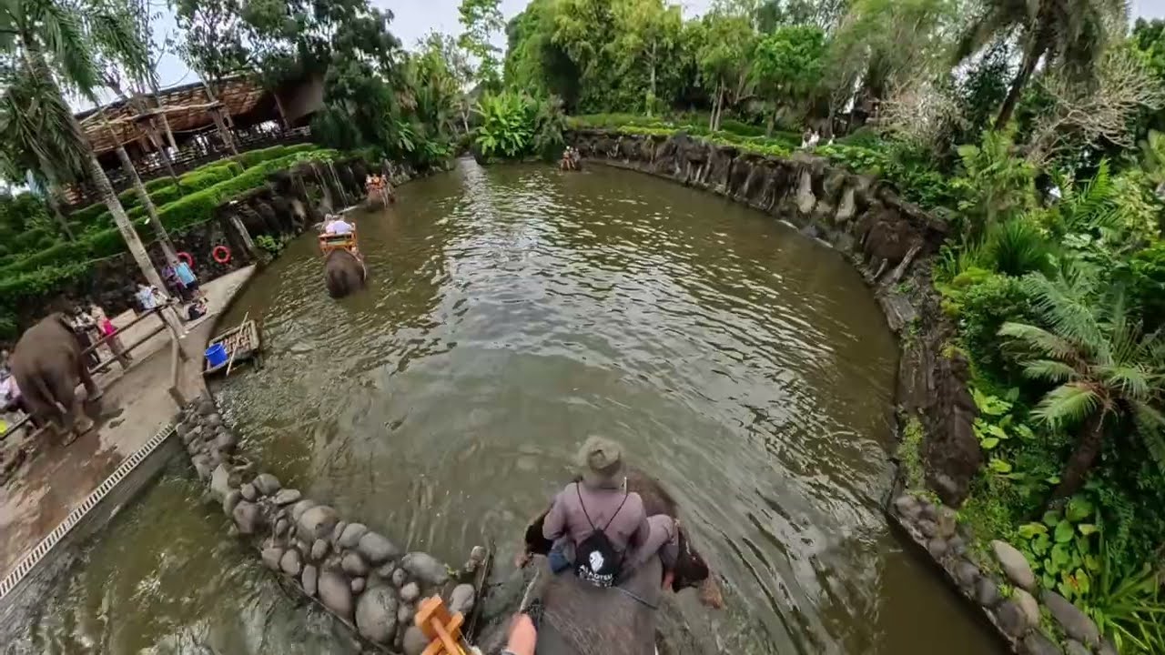 Bali Zoo Adventure 2025 🐘