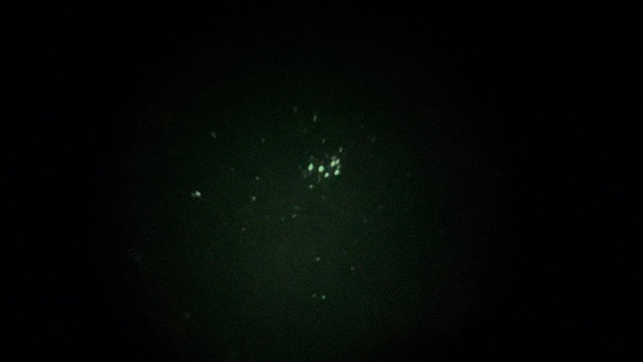 Looking at the stars through a gen one night vision monocular ￼