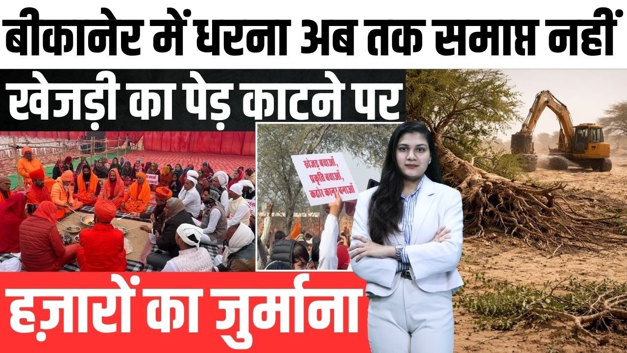 Bikaner में धरना समाप्त नहीं, Khejri का पेड़ काटने पर हज़ारों का जुर्माना! | Khejri Bachao Aandolan