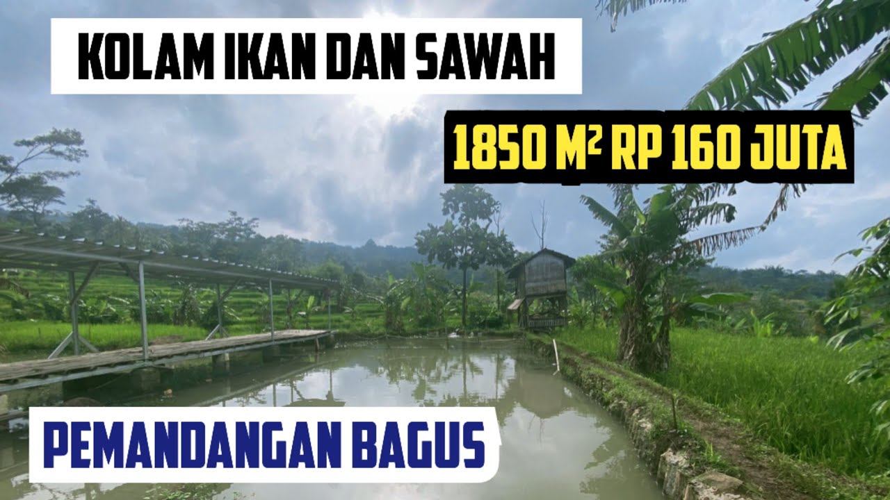 Jual Tanah dan Sawah Pemandangan Bagus Luas 1850 m2 Rp 160 Juta Pinggir Sungai Air Mengalir
