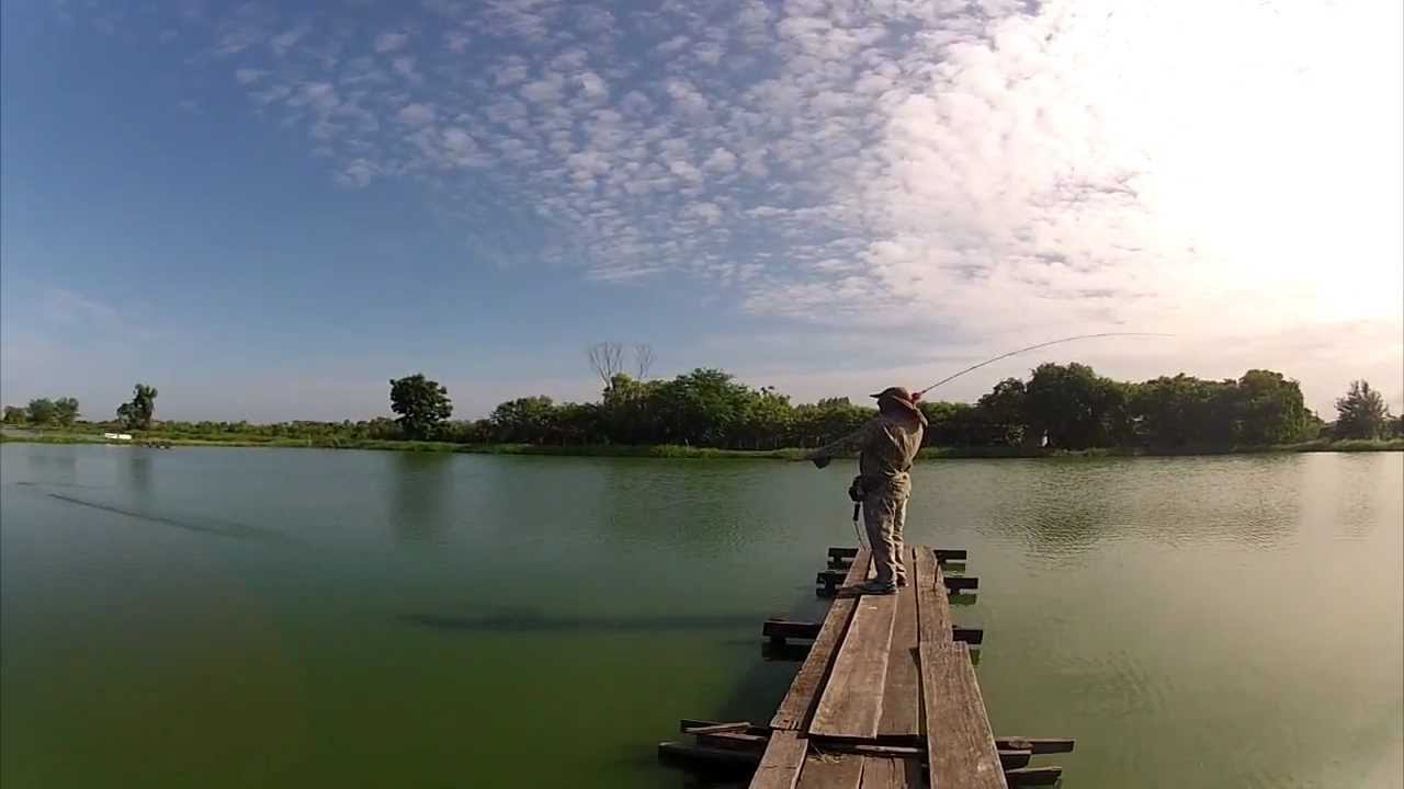 Fly Fishing for Giant Snakehead at Pilot 111 in Thailand