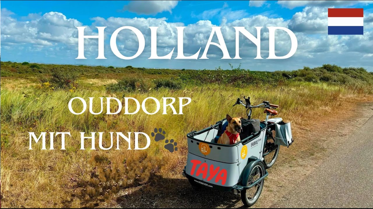 Holland 2024 /  Ouddorp mit Hund