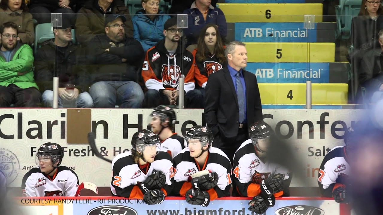 Tigers Last Season at The Arena