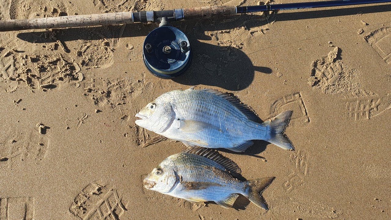 BIG BREAM on the Beach