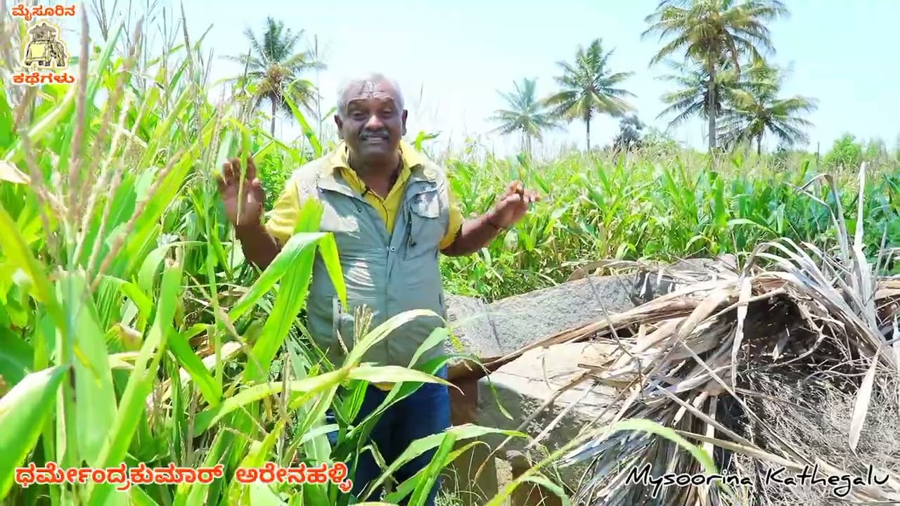 EP05 ಬೌದ್ಧ ನೆಲೆಯ ರಾಜಘಟ್ಟದ ಕುಮಾರರಾಮ...