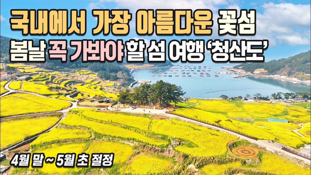 국내에서 가장 아름다운 꽃섬 봄날의 청산도 여행 / 완도 여행, 국내여행, 봄꽃 여행지, 서편제길 유채꽃, 구들장논