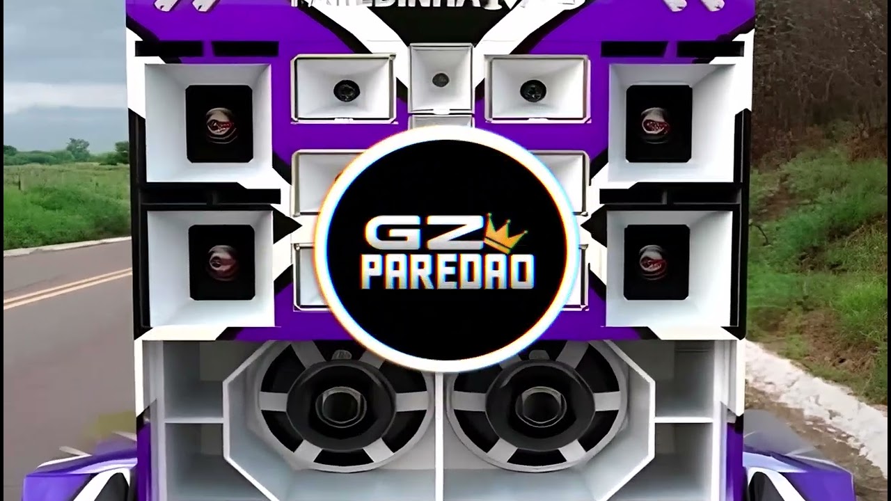 CD FORROZINHO PRA PAREDÃO 2025 NOVO ANAILSON PRODUÇÕES, DJ RAYLLAN E DUDU ALTA QUALIDADE #piseiro