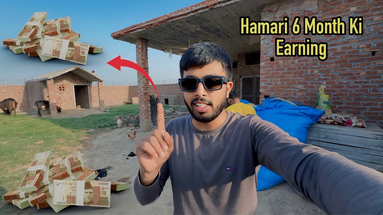My 6 Month Earning 💰 Zohaib Pendu | Zohaib Sabir