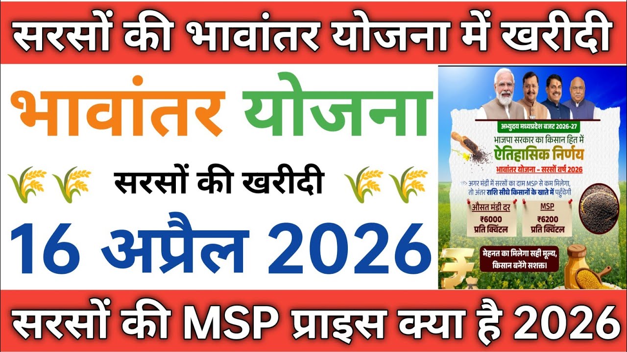 सरसों की भावांतर योजना में खरीदी कब से शुरू || सरसों की खरीदी 16 अप्रैल 2026 || सरसों की MSP प्राइस 