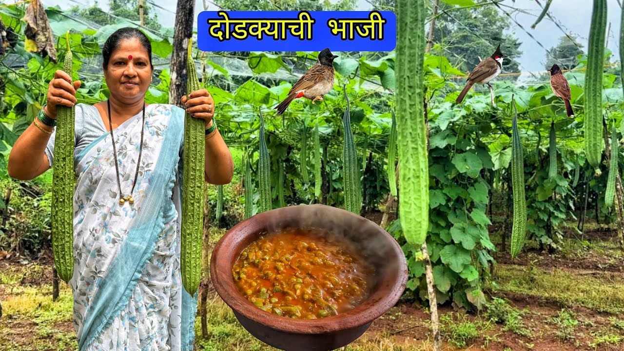 आईच्या हातची दोडक्याची भाजी |कोकणी रेसिपी | Marathi Recipe |Village cooking 