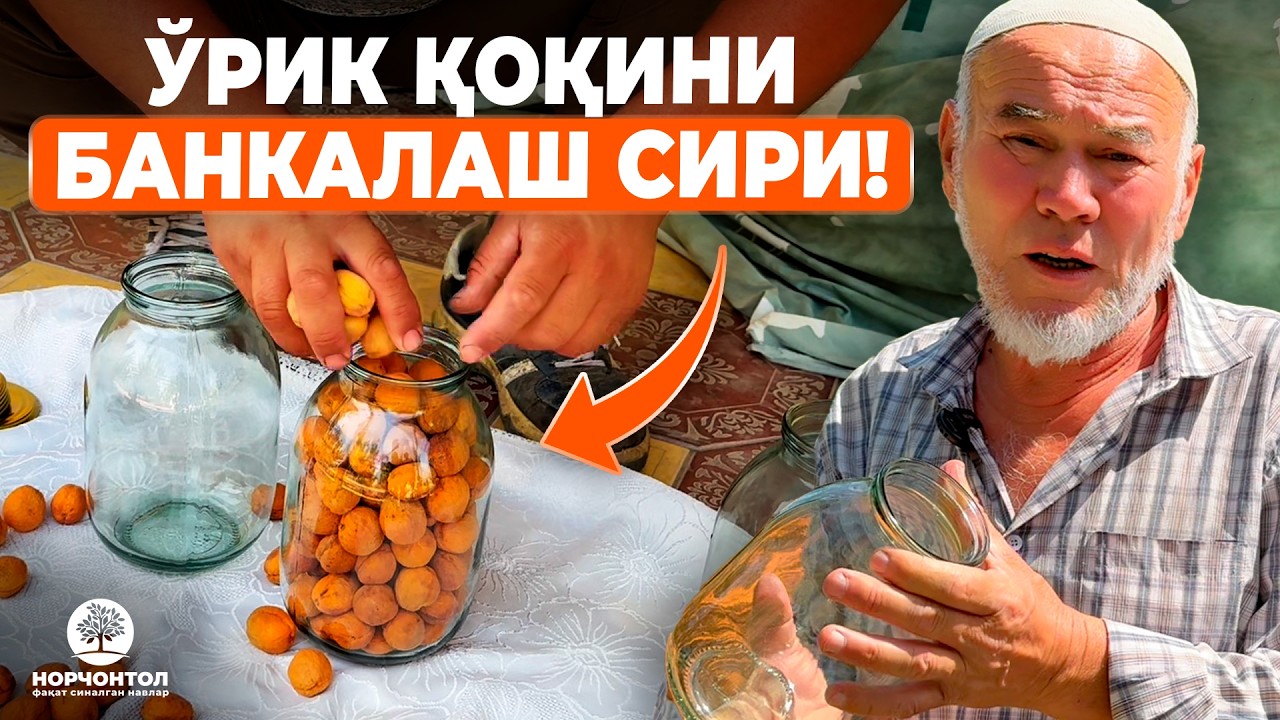 ЎРИК ҚОҚИ ҚИЛИШ СИРЛАРИ ВА БИЗ БИЛМАГАН ЖАРАЁНЛАР! | ШУҲРАТ АБРОРОВ #shuhratabrorov #orikqoqi #orik
