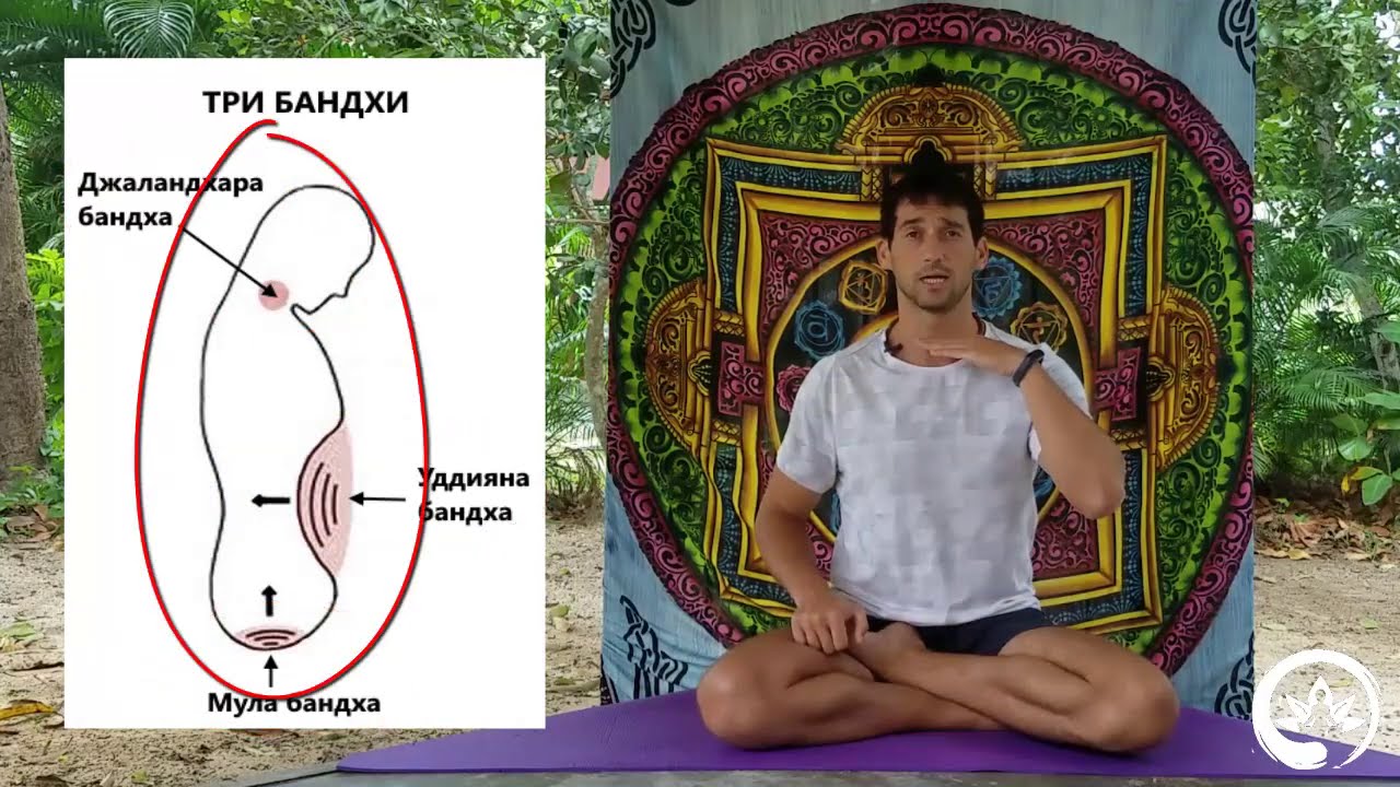 Три энергетических замка в йоге. Джаландхара бандха, уддияна бандха, мула бандха | Йога Хаб Клуб