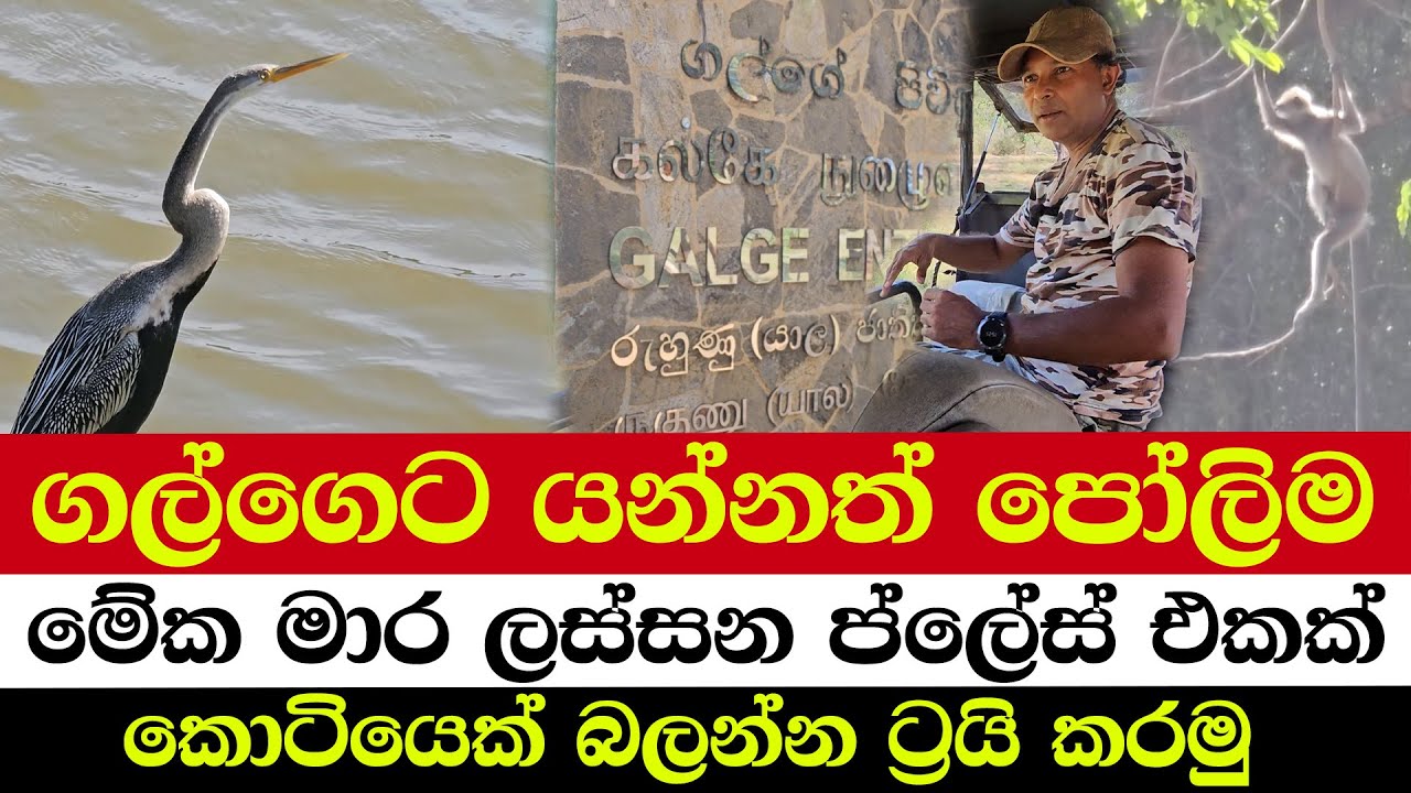 ගල්ගෙට යන්නත් පෝලිම | මේක මාර ලස්සන ප්ලේස් එකක් | කොටියෙක් බලන්න ට්‍රයි කරමු