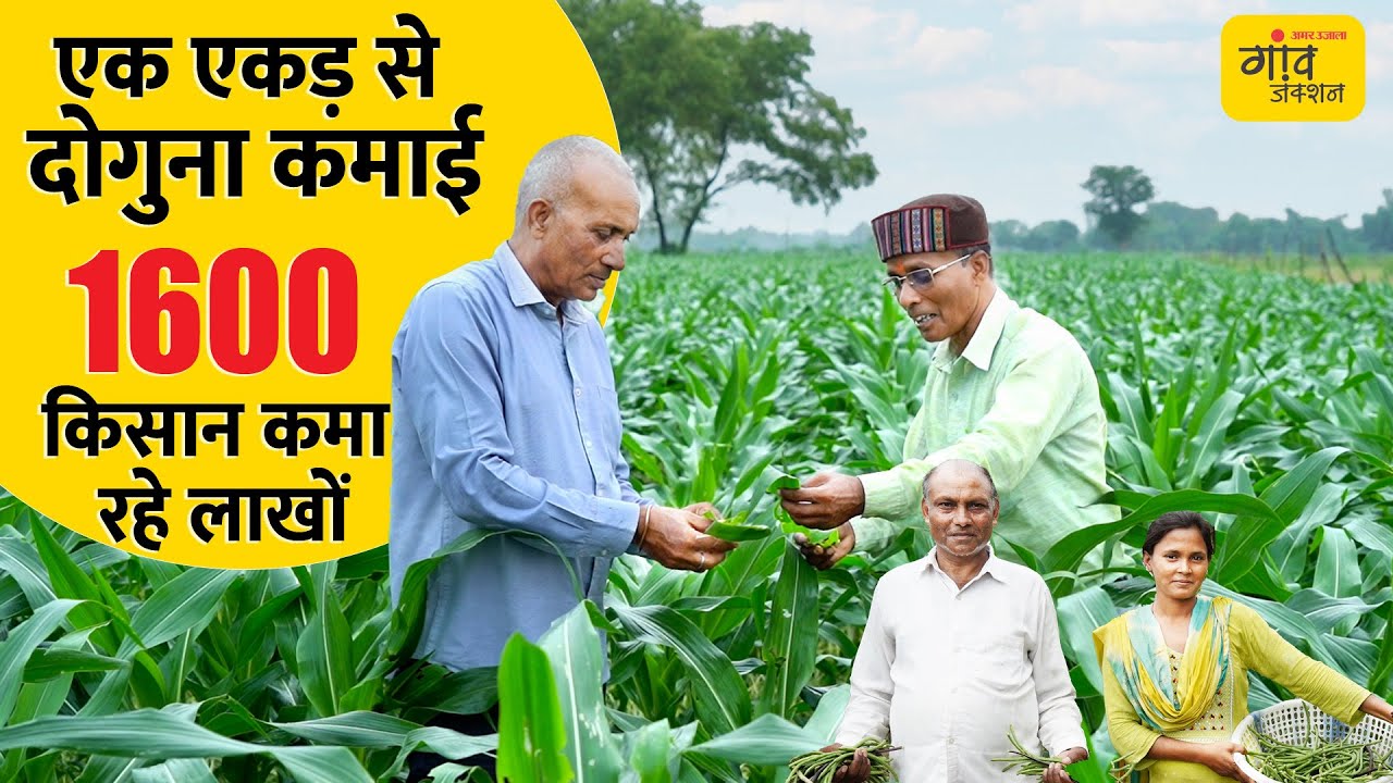 मचान और बेड विधि से खेती में क्रांति: एक एकड़ में दो एकड़ जितनी कमाई! | Gaon Junction LIVE