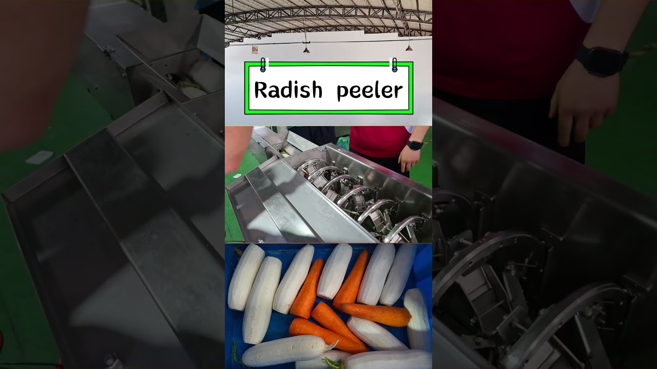 Radish peeling machine that peels radish in 3 seconds and has a peeling rate of 98%