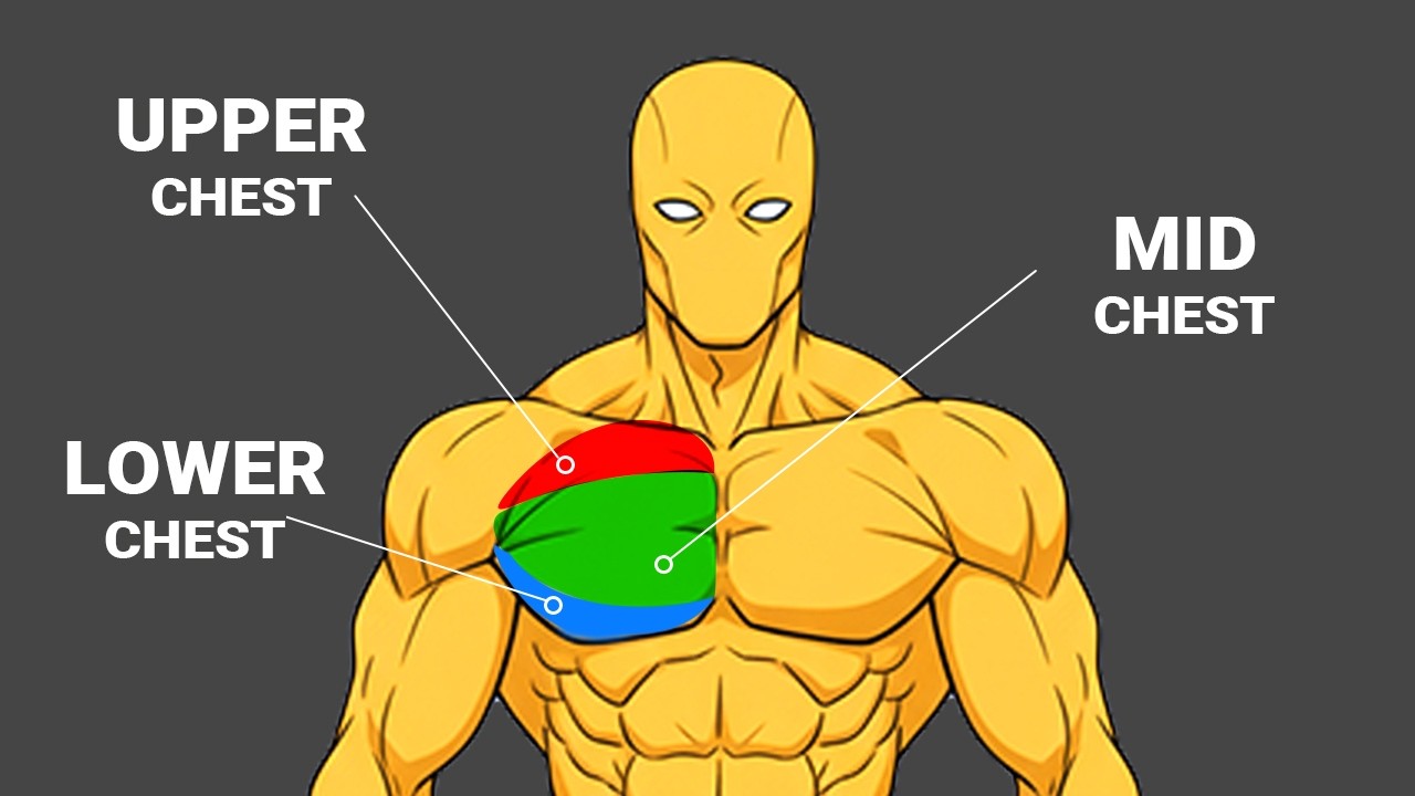 The ONLY 2 Exercises You Need For A Massive Chest
