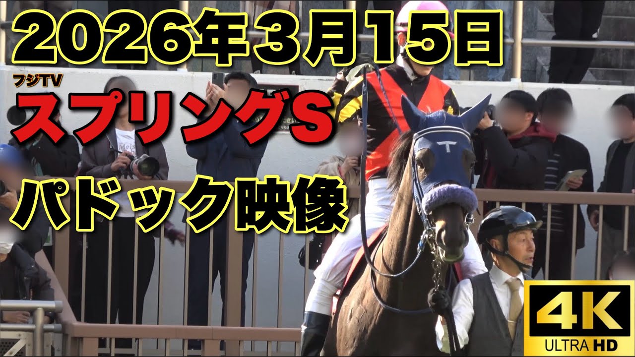 【4K動画】2026年スプリングSパドック【アウダーシア】