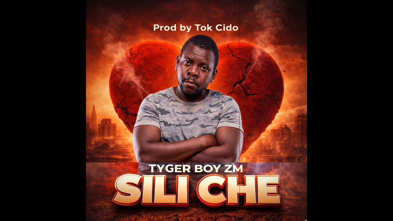 Tyger Boy Zm  Sili Che  official Audio