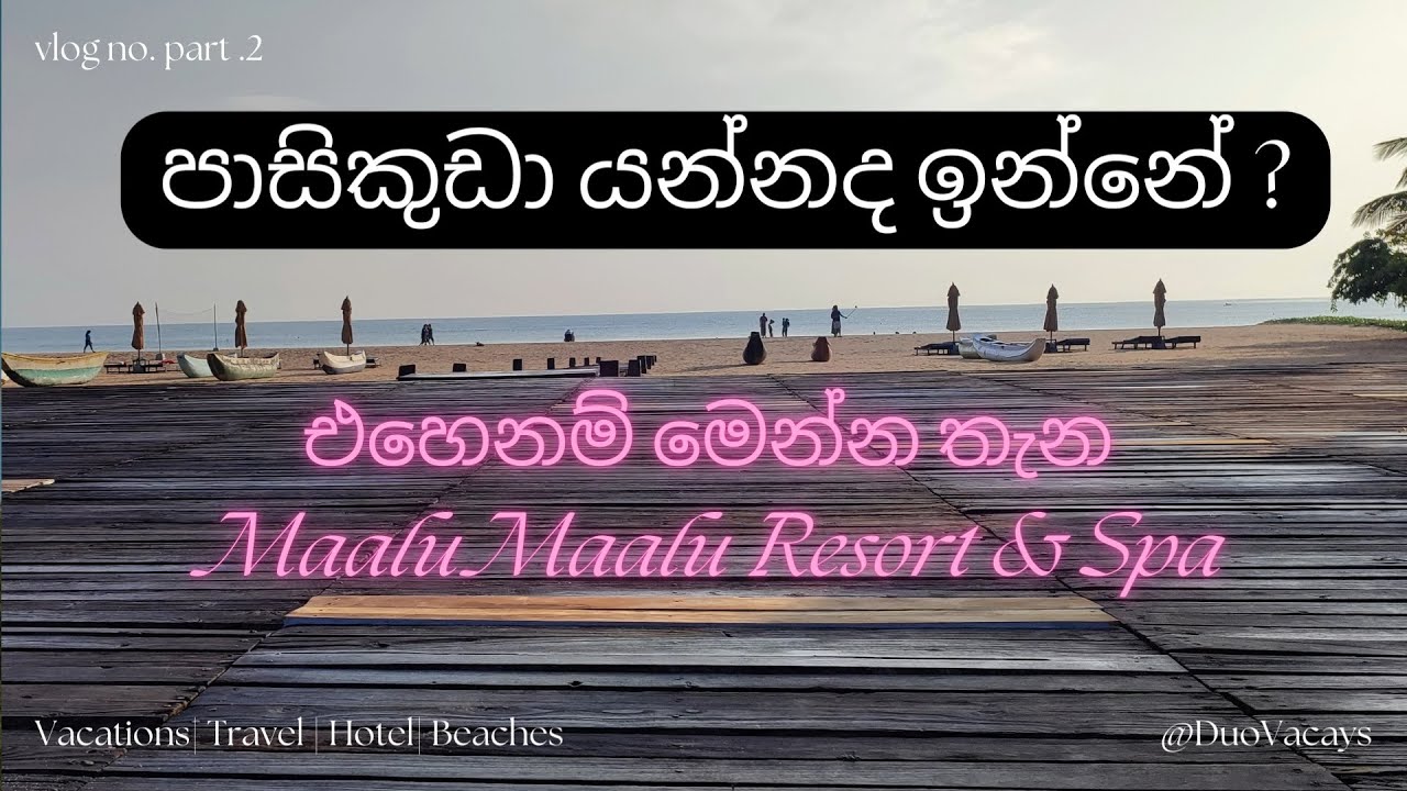 Journey to the land of the singing fish - යමුද පාසිකුඩා ? | Maalu Maalu Resort & Spa 🐟🐠🐡🦈
