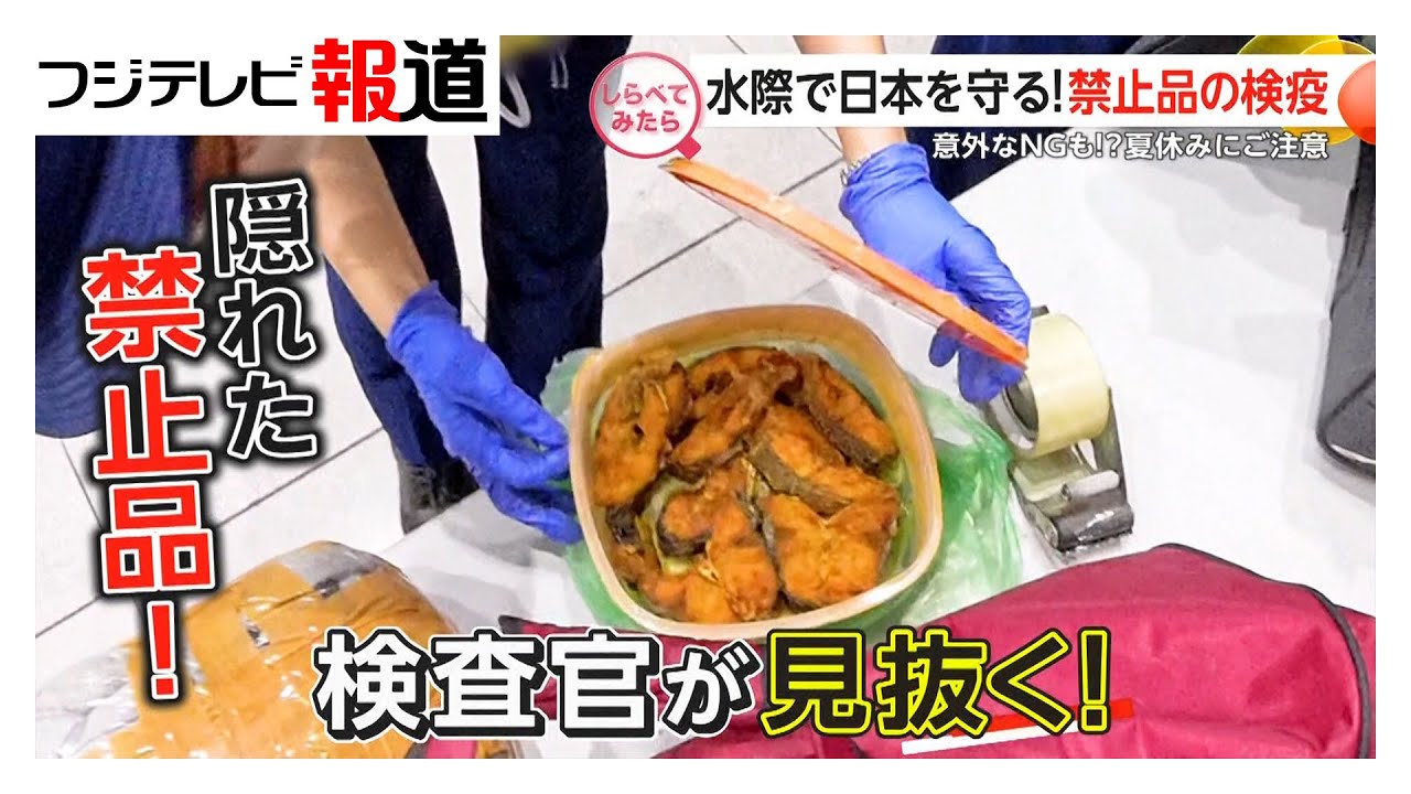 水際で日本を守る！禁止品の検疫【しらべてみたら】（2025年8月）