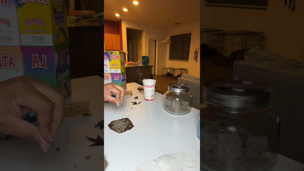 Double Backwood Energy 🪵💨 | Roll Up With Me (TrapHouse Edition)