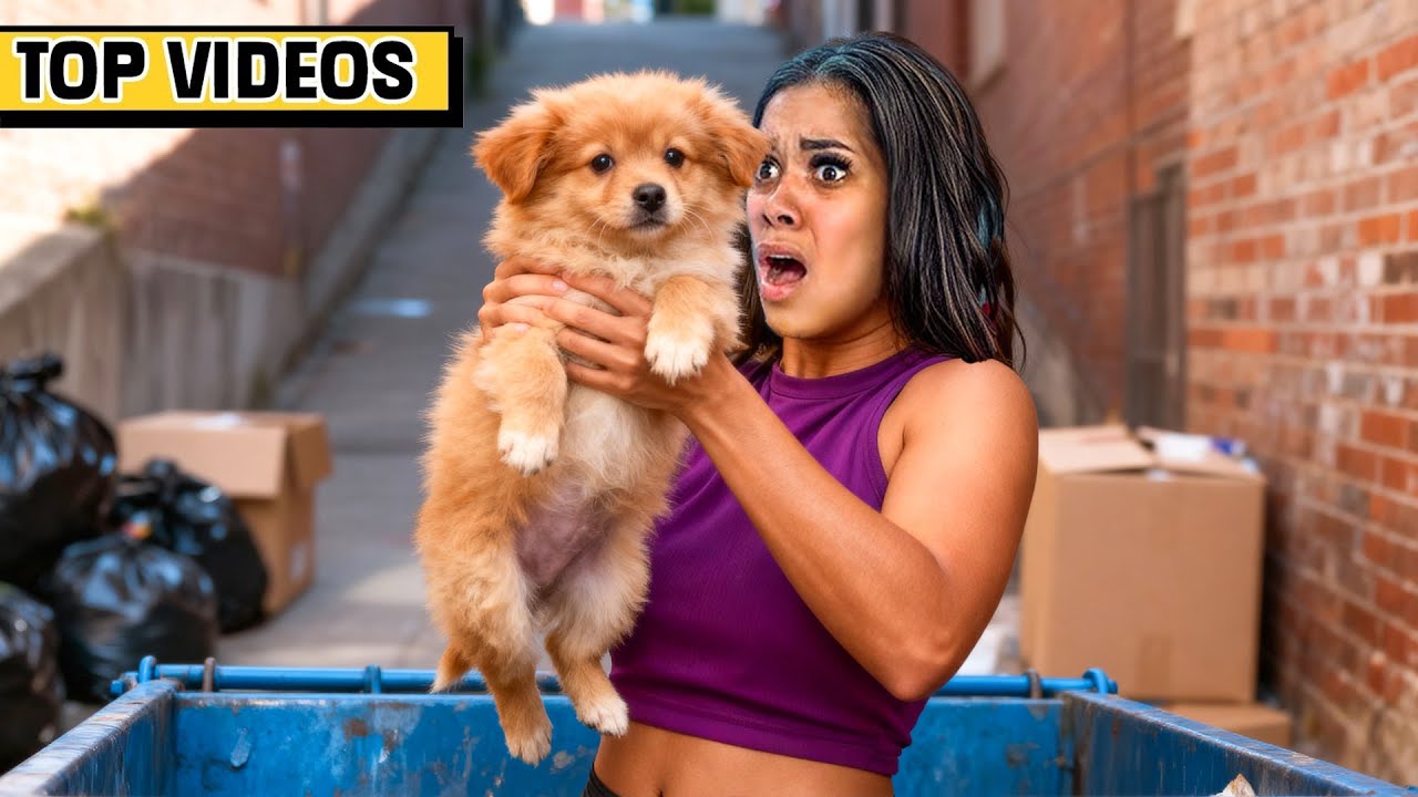 WE FOUND OUR LOST PET! | The Trench Family