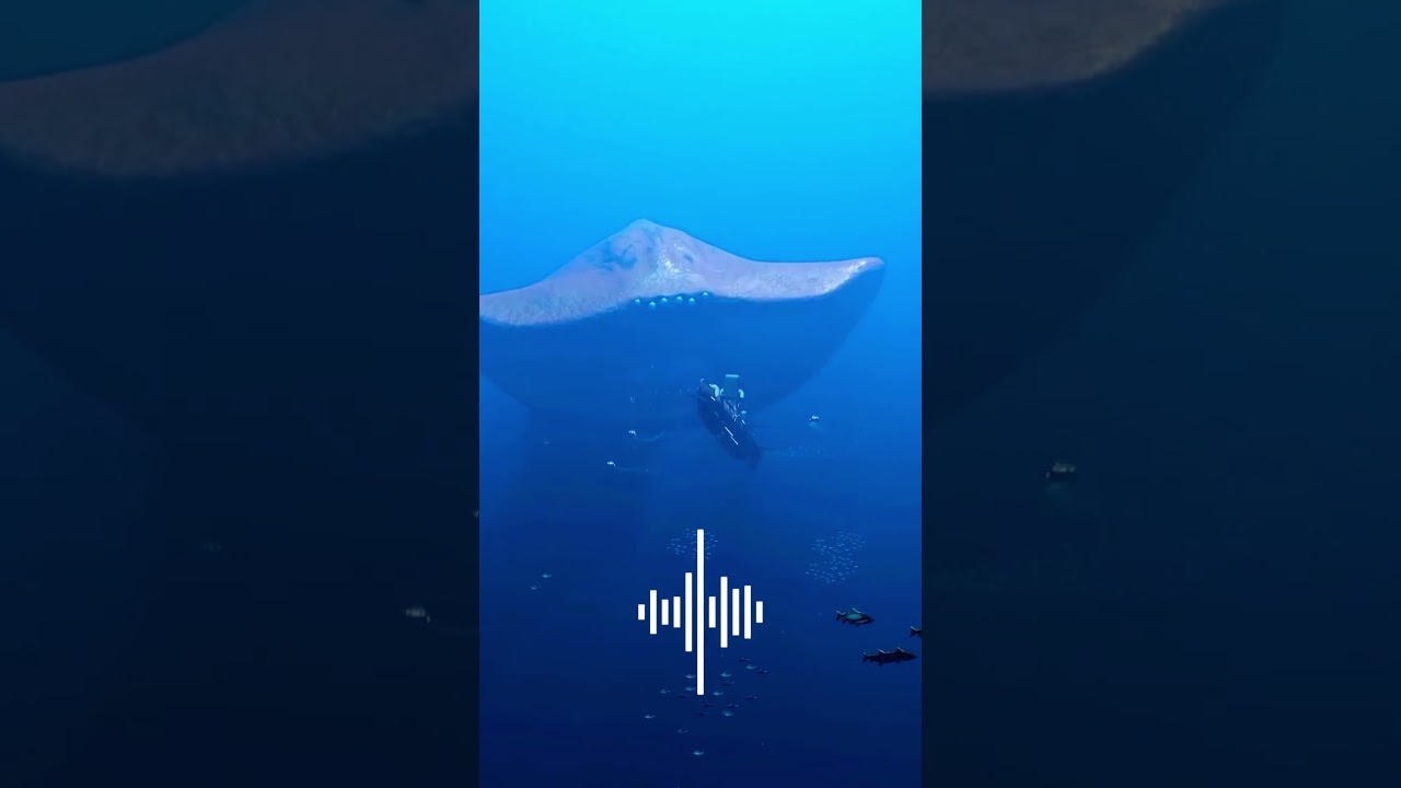 Top 5 Scariest Ocean Sounds In The World