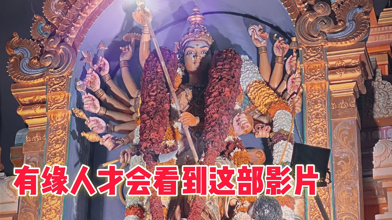 有缘人才看得到这部影片🍀 Pangkor Kaliamman Masi Magam Festival 2020