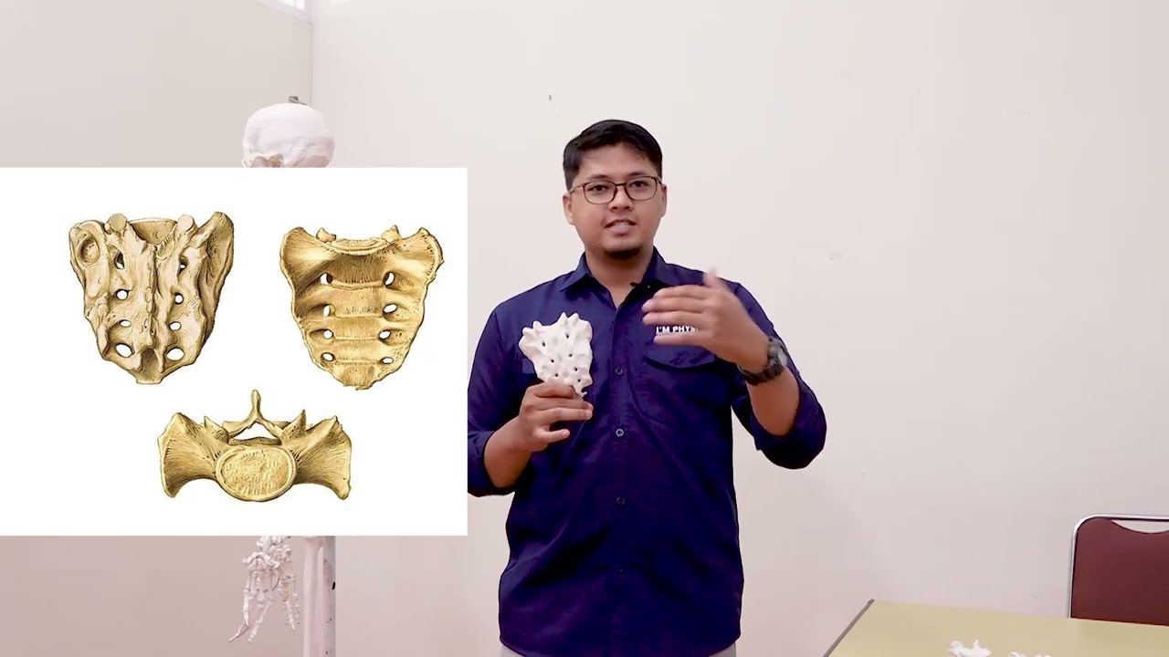 VERTEBRAL ANATOMY || FISIOTERAPI 2022