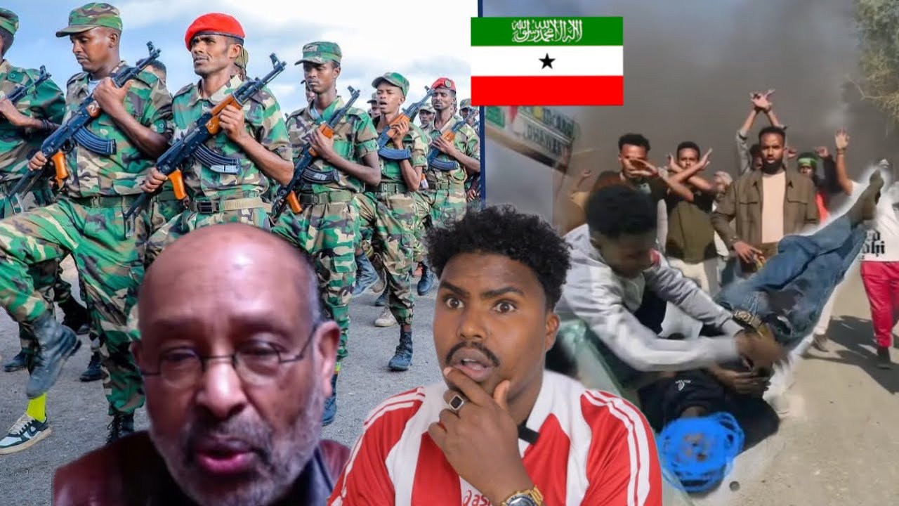 BOORAMA OO XABAAL WADAREED LOO SAMAYNAYOO ISMAACIIL SAMATAR DIGNIIN