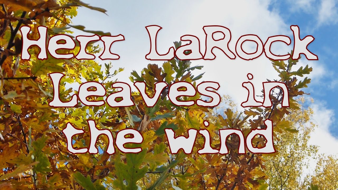 Herr LaRock - Leaves in the wind