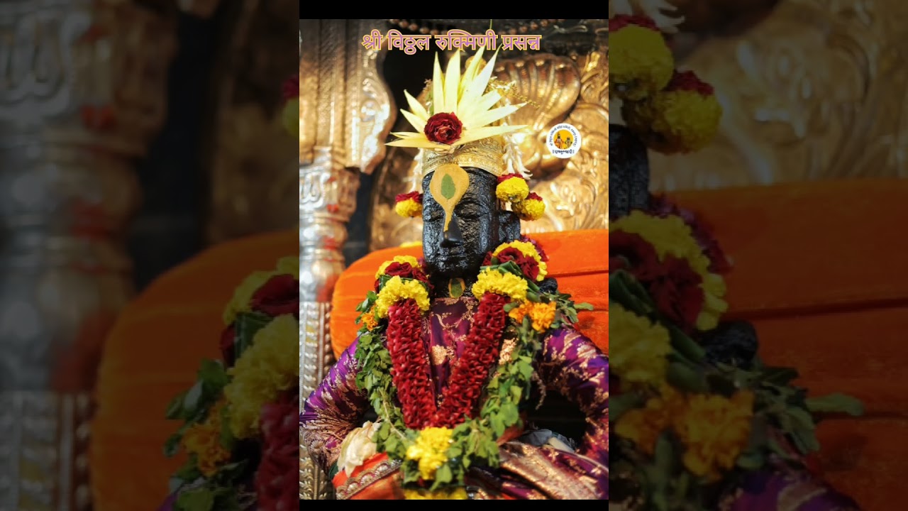 #lordvithal #pandurang ##aashadiekadashi #vari2025 #viralvideo #pandharpurvari