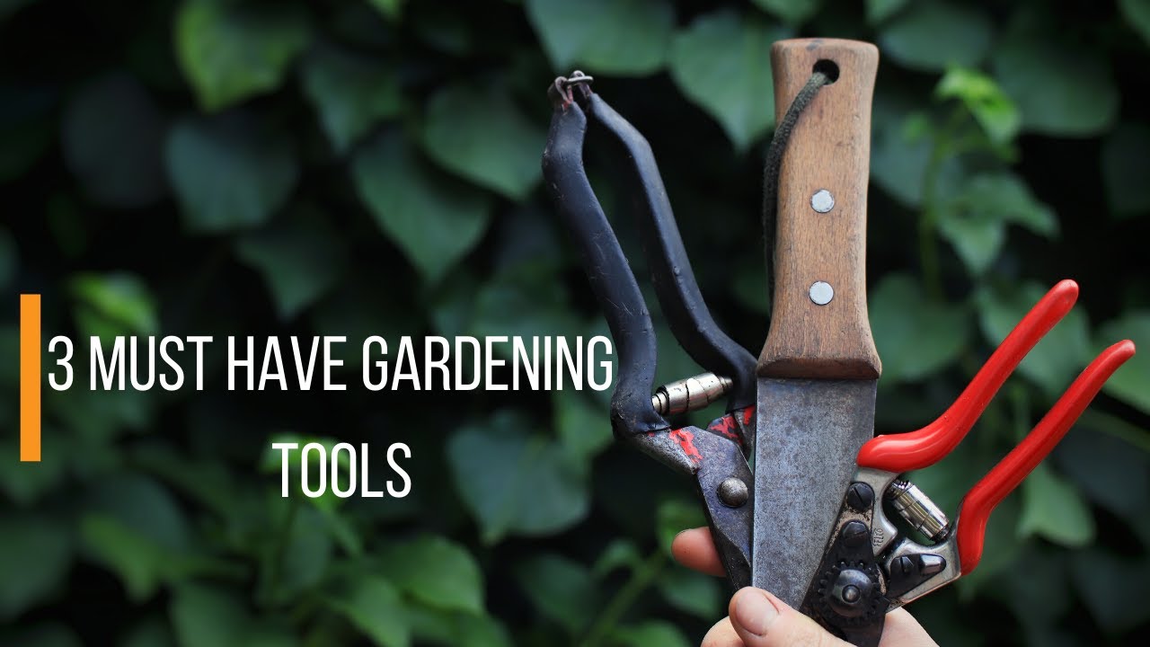 3 Must-Have Garden Hand Tools for Gardeners