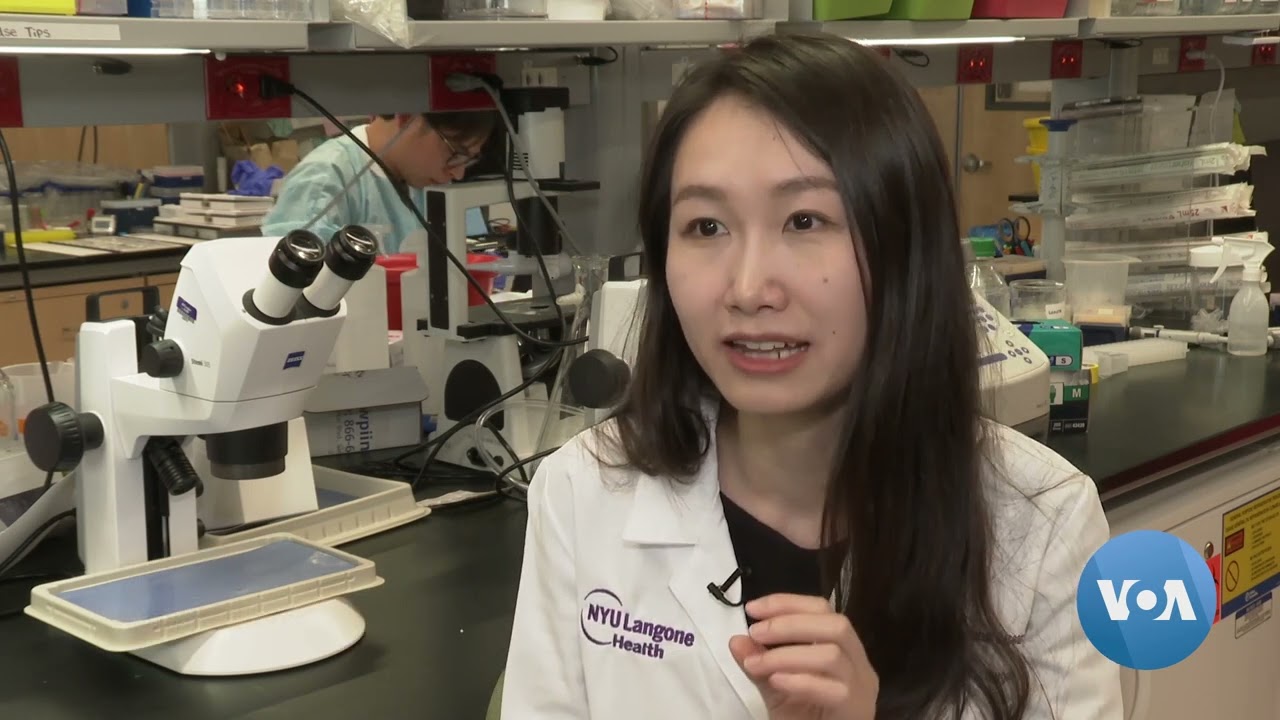 Researchers Discover Possible Roots of Gray Hair | VOANews