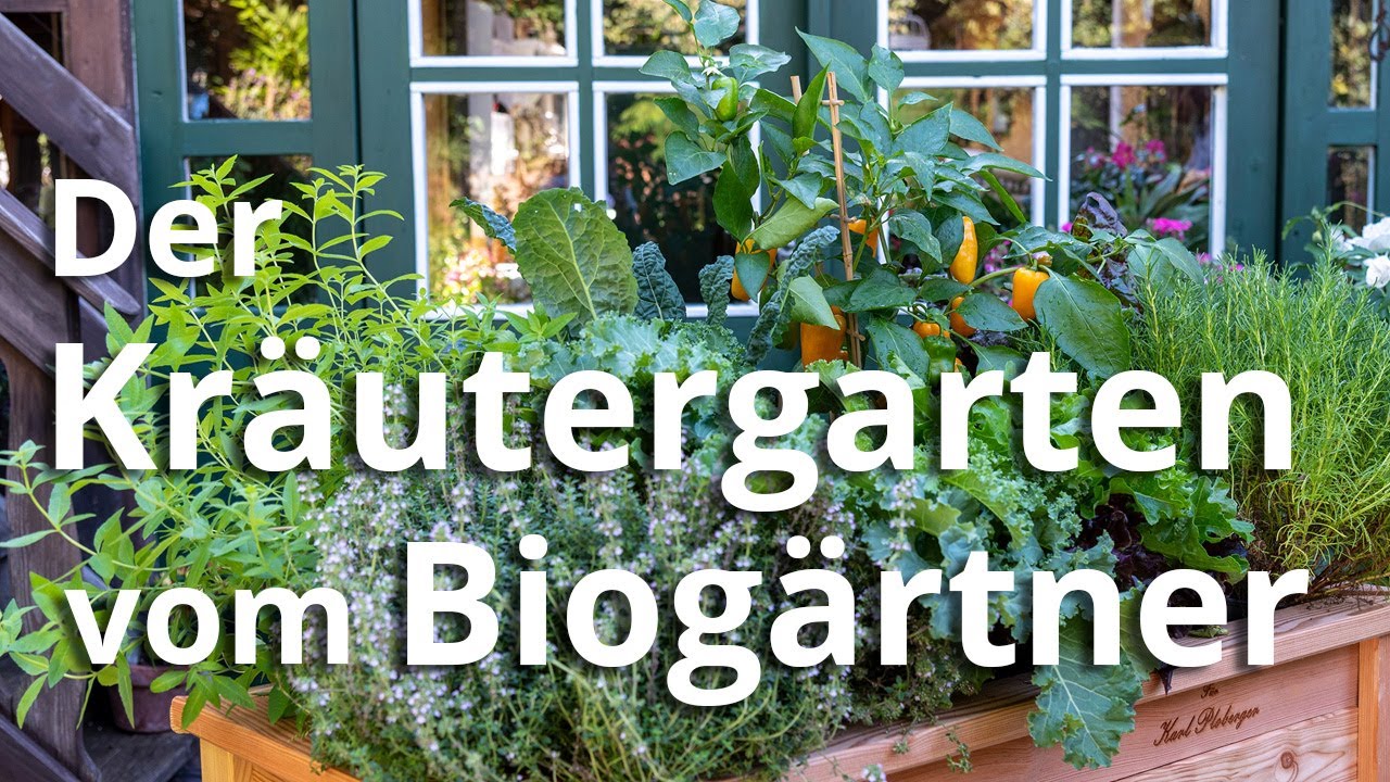 Der Kräutergarten vom Biogärtner